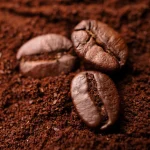 قهوه عربیکا ۱۰۰ درصد