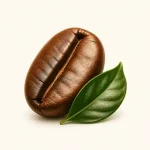 قهوه عربیکا