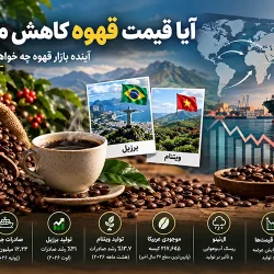 آیا قیمت قهوه کاهش مییابد؟ بررسی آینده بازار قهوه و تولید جهانی قهوه